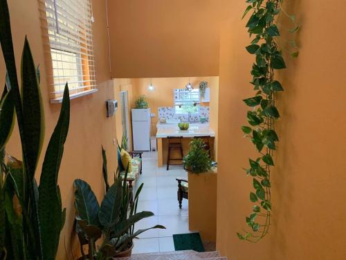 ห้องครัว, Story Villa 2 Bedrooms with Mountain & Ocean View in เบลเวเดียร์