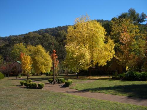 Willowlake Cottages