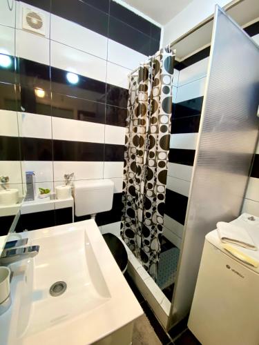 Allegro Apartment Free Parking in Bistrica