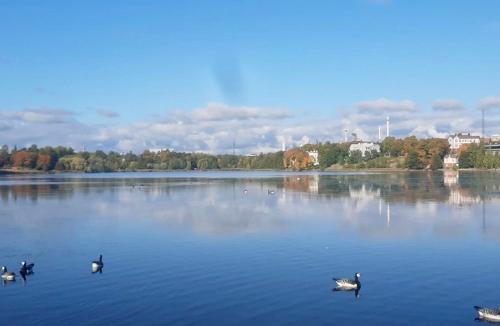 Chic Urban Oasis at Helsinki Activity Center