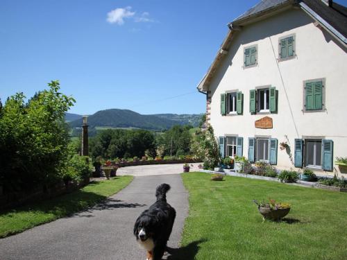 Gîte Orbey, 2 pièces, 2 personnes - FR-1-744-25 - Location saisonnière - Orbey