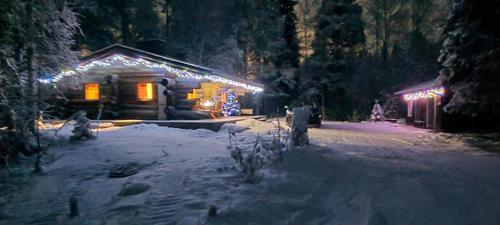 Pahtaja Chalet 4