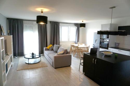 Bel appartement centre ville de 100m2 - Location saisonnière - Strasbourg