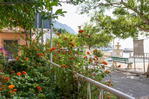 Apartment Podgora 6846a - main image