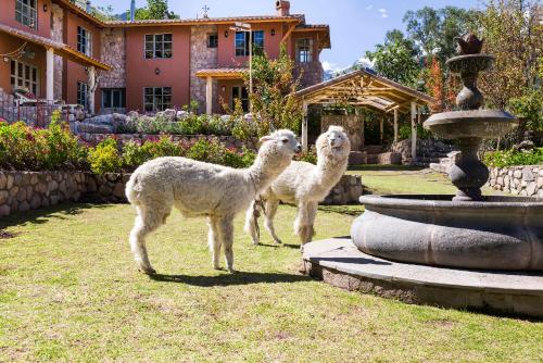 VILLA APU CHICON (Apu Wasi & Inti Wasi)