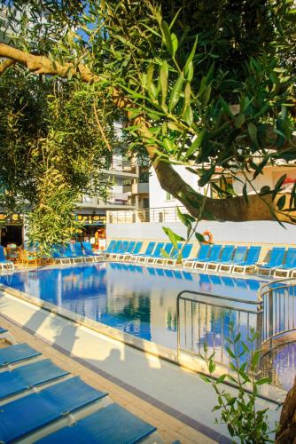 Mutlu Hotel, Didim (fotografie 11)