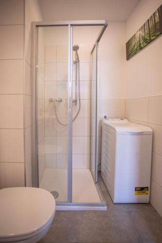 Innsbruck City Apartment + 1 free parking spot - image 3