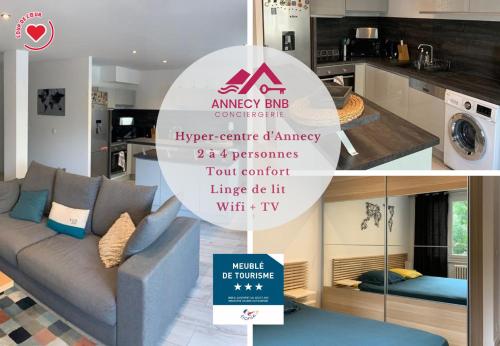 Le Globetrotteur T3 pour 4 pers 70m2 au cœur d'Annecy - Location saisonnière - Annecy