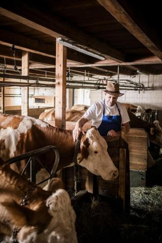 La Majun Fornellahof