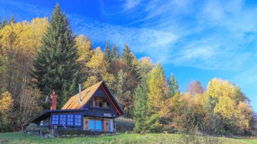 B&B Zgornje Gorje - Pravlca (Fairytale Cottage) - Bed and Breakfast Zgornje Gorje