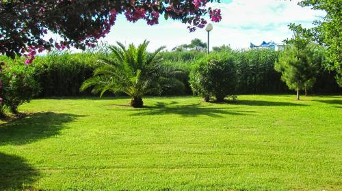 Two-room apartment 150 meters from the beach - 4 people - Ghisonaccia 1