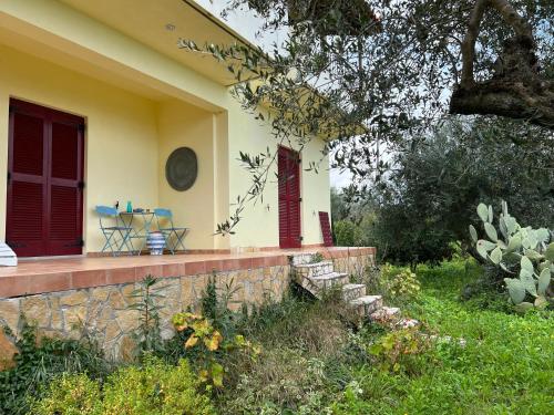 Exterior view, Peaceful home amongst olive groves by the sea in Agios Georgios