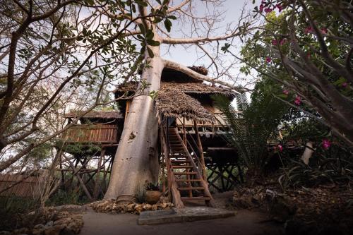 Chole Mjini Treehouses Lodge