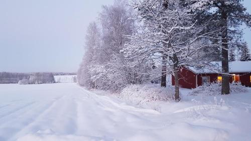 B&B Nurmes - Talo Porokylä - Nurmes - Bed and Breakfast Nurmes