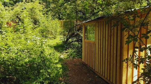 Chambre scandinave dans un parc forestier