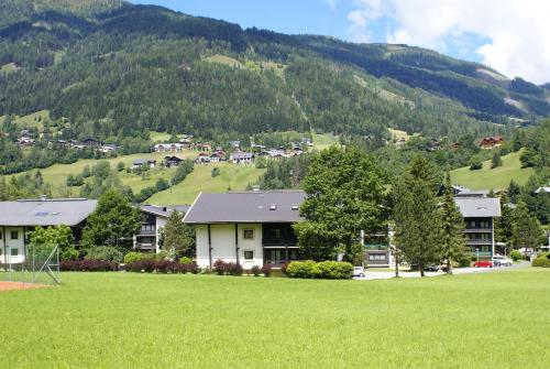 ทัศนียภาพภายนอกโรงแรม, Appartementanlage Bach in บาด ไคลน์คีชไฮม์