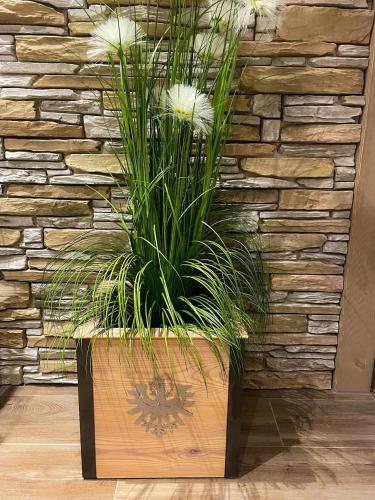 Mountain View Appartements mit Blick