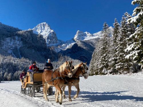 Chalet am Weißenbach in Hinterstoder, Österreich