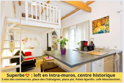 Loft Palais Hôtel particulier centre intra-muros - Location saisonnière - Avignon