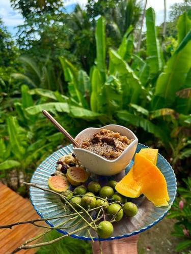 Little Diamond, Wooden Jungle House. Bathsheba.