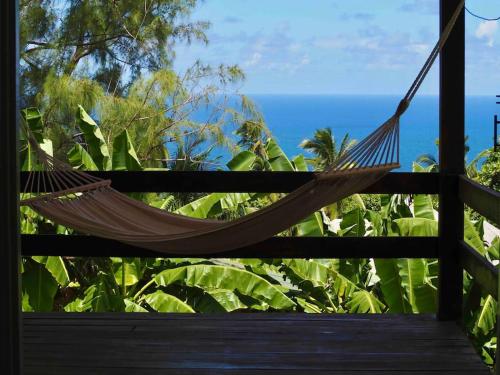 Little Diamond, Wooden Jungle House. Bathsheba.