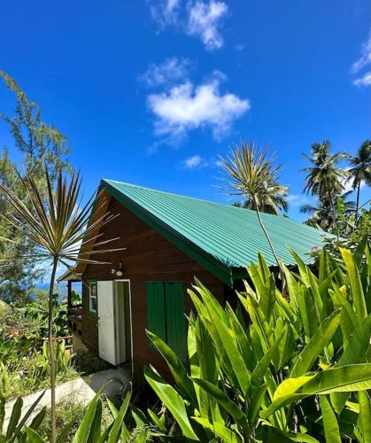 Little Diamond, Wooden Jungle House. Bathsheba.