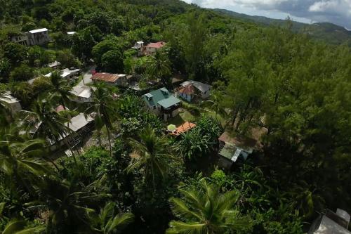 Little Diamond, Wooden Jungle House. Bathsheba.