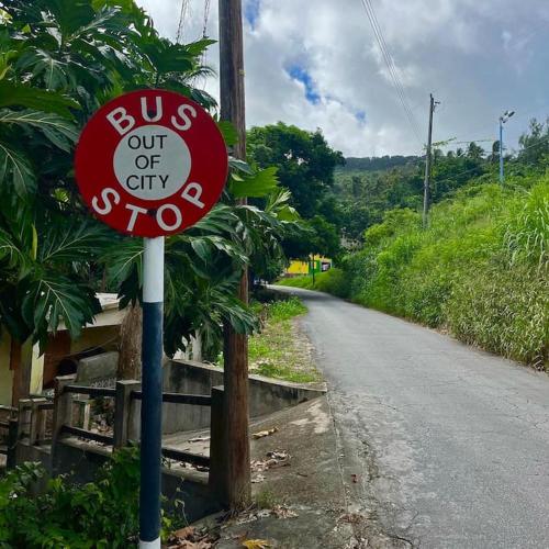 Little Diamond, Wooden Jungle House. Bathsheba.