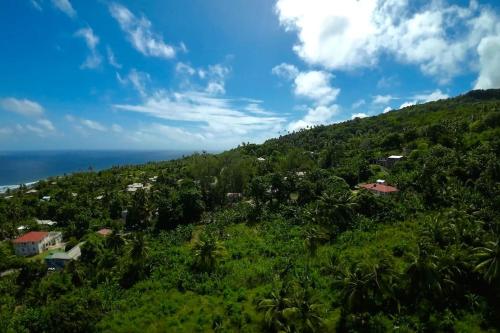 Little Diamond, Wooden Jungle House. Bathsheba.