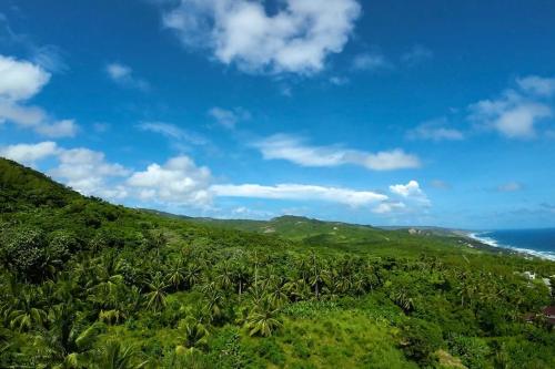 Little Diamond, Wooden Jungle House. Bathsheba.