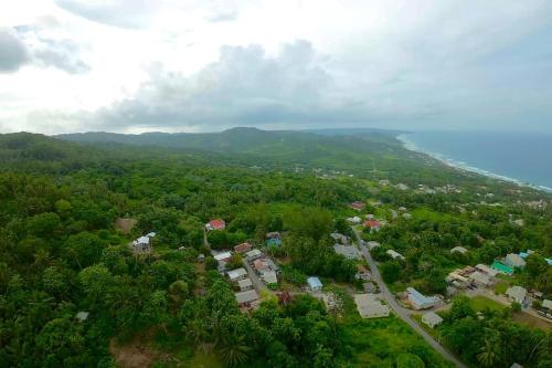 Little Diamond, Wooden Jungle House. Bathsheba.