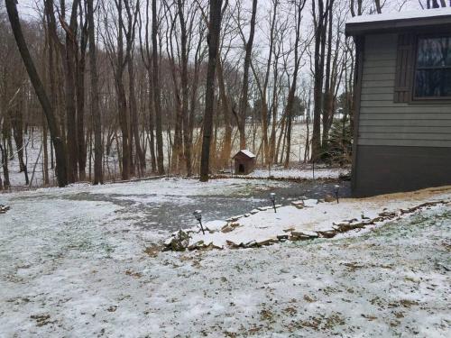 Wind Rose * pool & gym membership included * in Friendsville, USA
