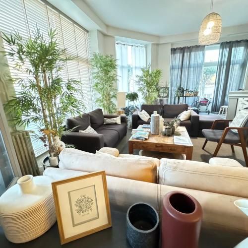 Cit'Hotel Les Alizes Hotel de charme Dinard