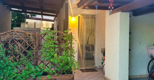  One bedroom appartement at Lido di Camaiore 1 km away from the beach in Lido di Camaiore