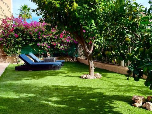 Casa Isabel, with a shared pool