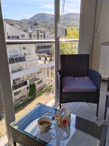 Apartman Harmony 1 in Banja Koviljaca