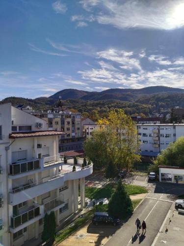 Apartman Harmony 1 in Banja Koviljaca