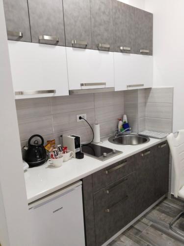 Apartman Harmony 1 in Banja Koviljaca