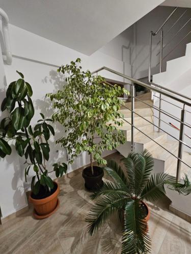 A szálláshely kívülről, DIDI Apartament in Craiovita Noua