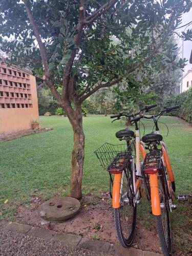B&B La corte di Stelio – Pisa, MN