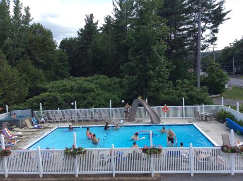 Lyn Aire Motel - Lake George - 수영장