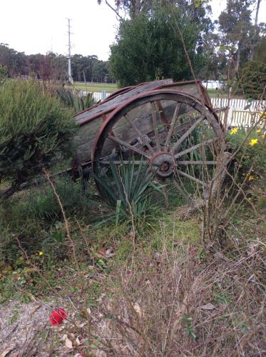 บริการและสิ่งอำนวยความสะดวก, Snowy River Lodge Motel in ออร์บอสต์
