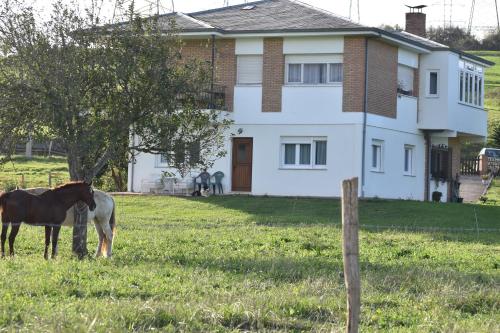 B&B Sobarzo - La Chabola - Bed and Breakfast Sobarzo