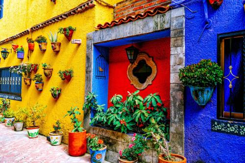 Posada las Margaritas in Guadalajara, Mexico