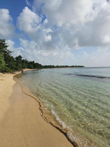 παραλία, Appartement douillet pour vacances bien méritées (Appartement douillet pour vacances bien meritees) in Μάρε Γκαγιάρντ