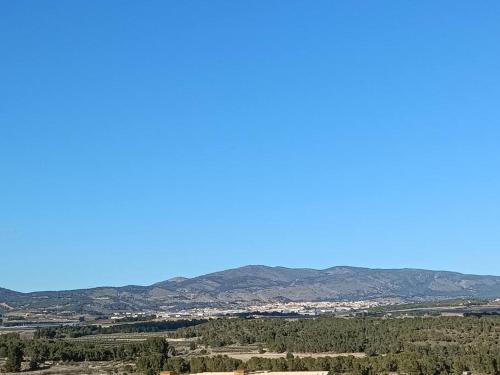 El Cirerer. Alicante. En plena naturaleza.