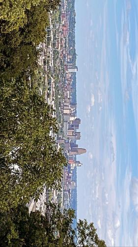 Downtown Skyline View- Cincinnati