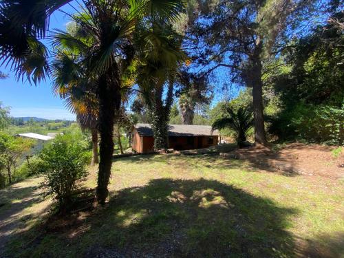 Casa de Campo con Piscina - Panimávida