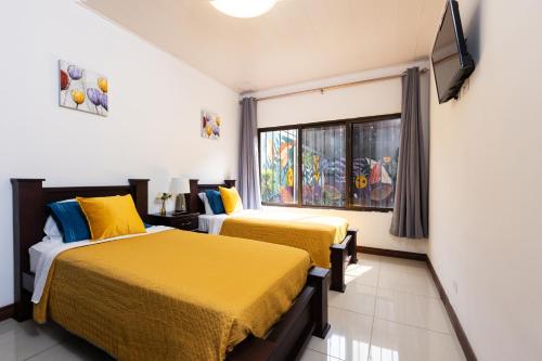 Twin Room with Shared Bathroom room in Viva Guest House