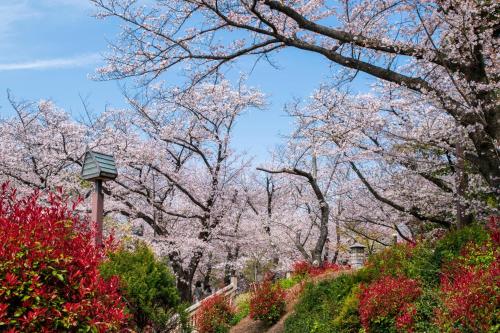 ที่เที่ยวใกล้ที่พัก, ทาบิสต์ เอ มิไร โอจิ (Tabist A Mirai Oji) in โตเกียว